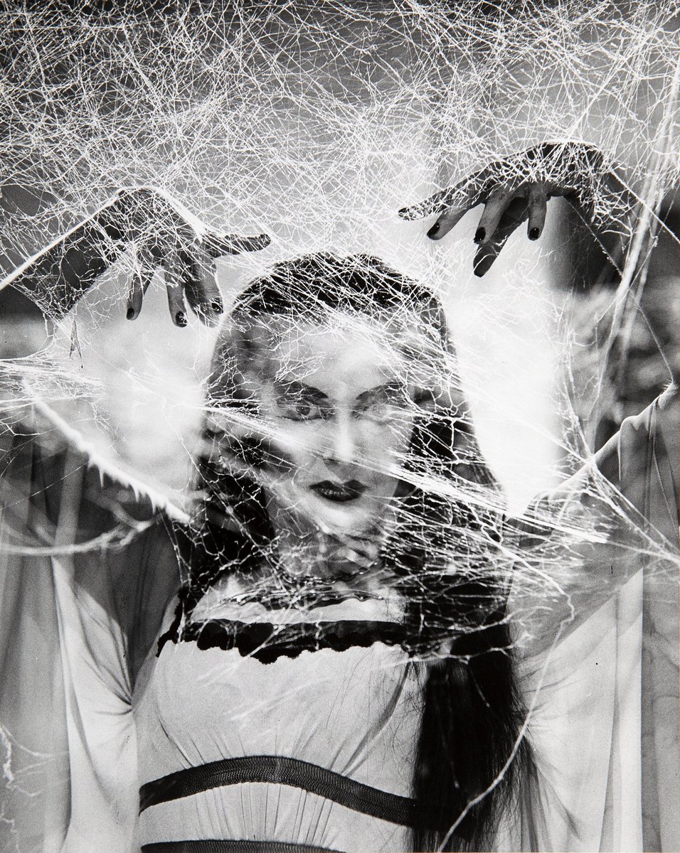 Cine_Series_'s tweet photo. Yvonne De Carlo, foto promocional de la serie de television The Munsters, 1964.
#TV #Fotografía https://t.co/tjio7h9ZIS