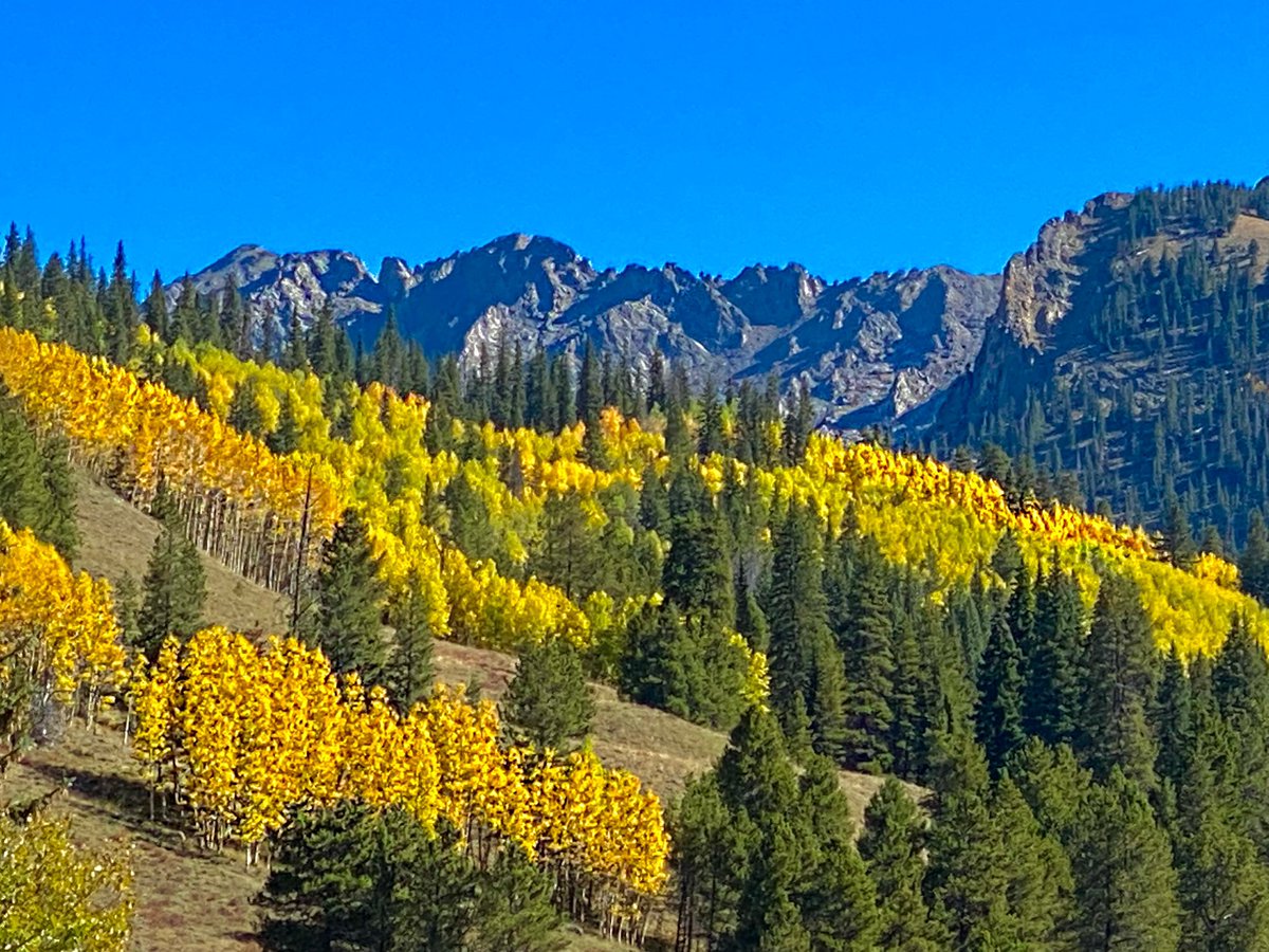 Matt Renoux tweet media