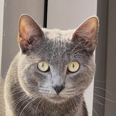 Octavio_Chon's tweet photo. #NuevaFotoDePerfil https://t.co/UYfCFp5Hnv