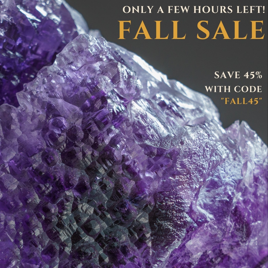 Only a few hours left to SAVE 45% on all your favorite gems, fossils, jewelry, and more during our Fall Sale! Use code: "FALL45" at checkout. Link in the bio! 

#crystalshop #nycbucketlist #homedecor #fossils #gemstones #finejewelry #giftideas #jurassicpark #meteorites #fallsale