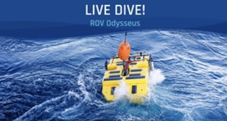 DIVE ALERT! ROV Odysseus is diving to 
112 m to recover the Delta Dynamics Laboratory auxiliary platform in the southern Salish Sea on the VENUS observatory. Watch live: bit.ly/ONCabyssFall20… #ONCabyss