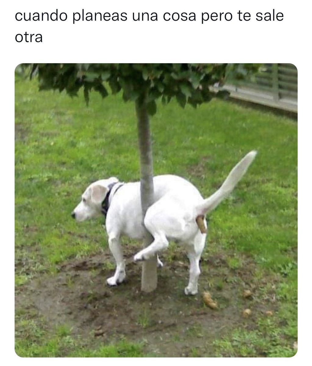 Capture Bizarre® (@capturebizarre) on Twitter photo 