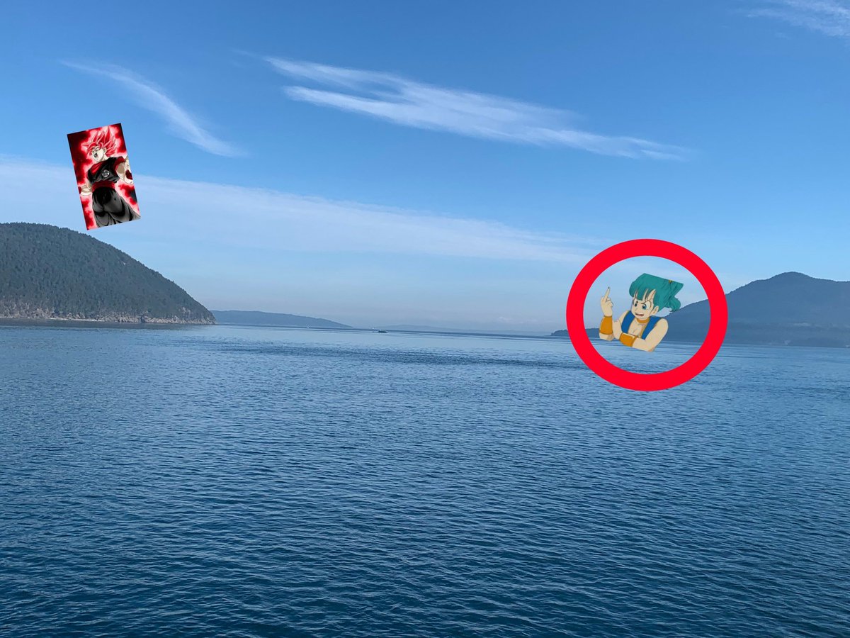 Bulma Briefs (@bulmaisfunny) on Twitter photo 