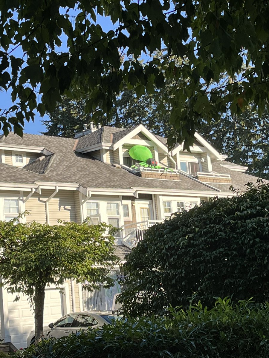 Brad Dirks tweet media