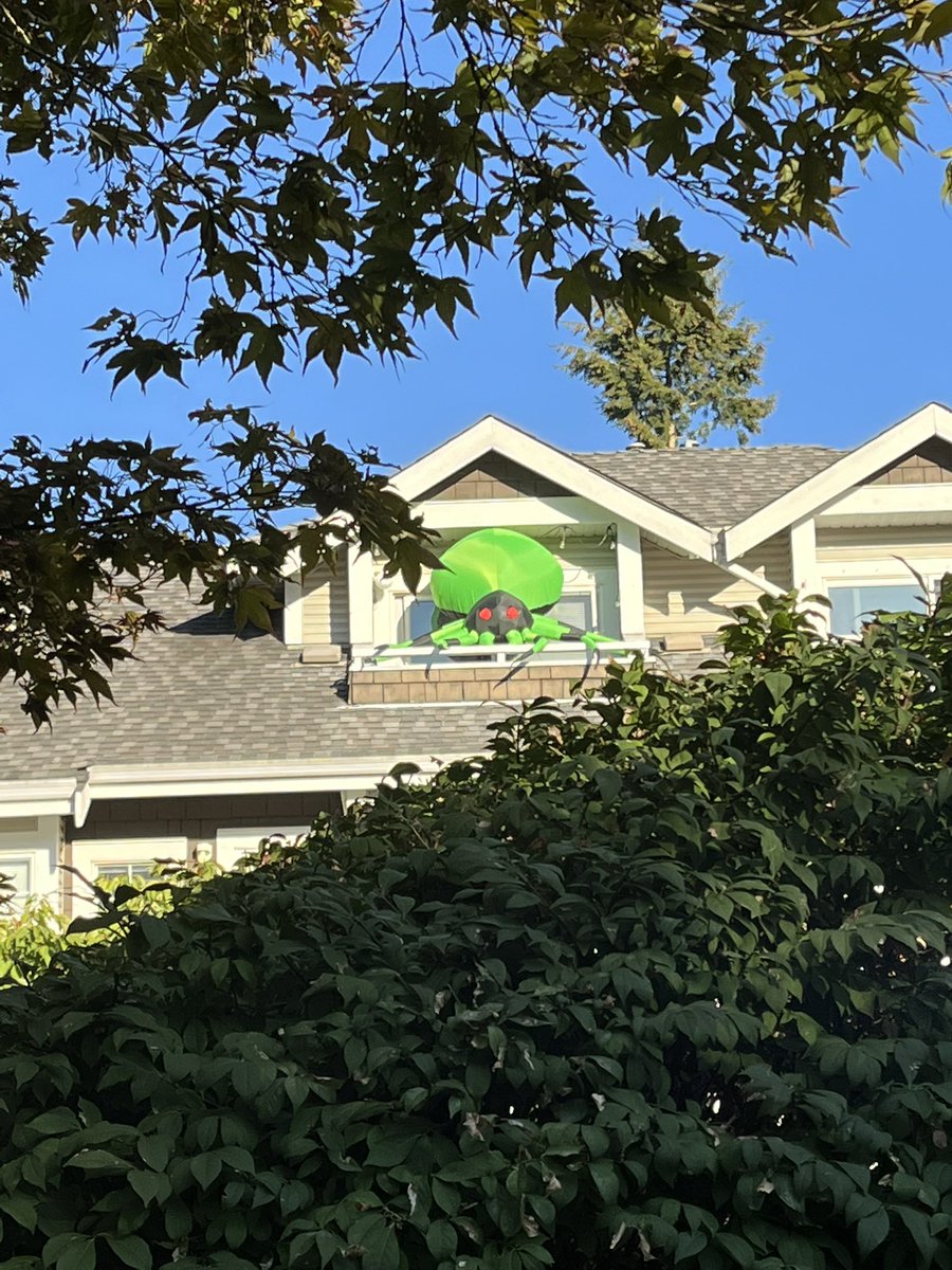 Brad Dirks tweet media