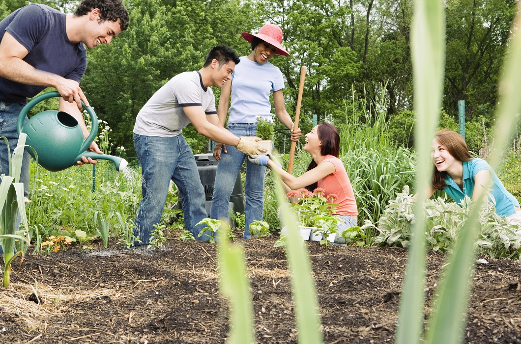 PreventionVic's tweet photo. Supporting the community to be more connected to local food projects, resources and produce https://t.co/ZuQiAePSam @InspiroCHS @yrcouncil #community #healthyfoodsystem #PreventionVic https://t.co/TEz46lcRi2
