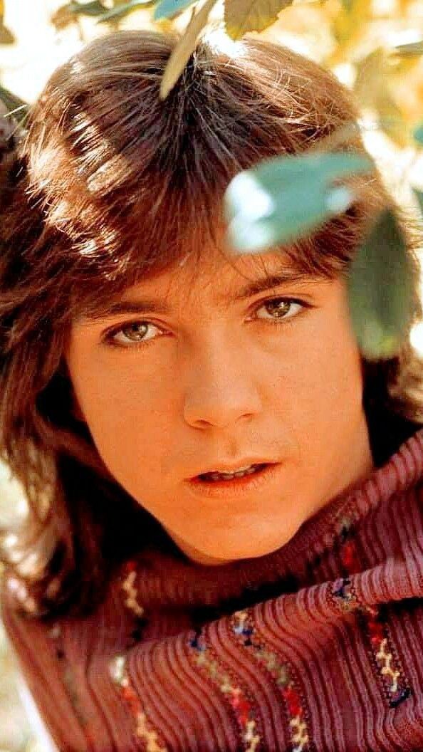 jessbythebsb's tweet photo. Anyone in need of little David pick me up? πππππ #DavidCassidy #love #Repostfrominstagram #perfecteverything https://t.co/K9ni1n32U8