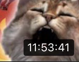 kuroneco58's tweet photo. 昨日パト猫さんが最後大巻きしてたのはアーカイブカットくらっちゃうからかw
YouTubeはだいたい11時間55分くらいまでしか残らないから危なかったw https://t.co/cORYdsRjRA
