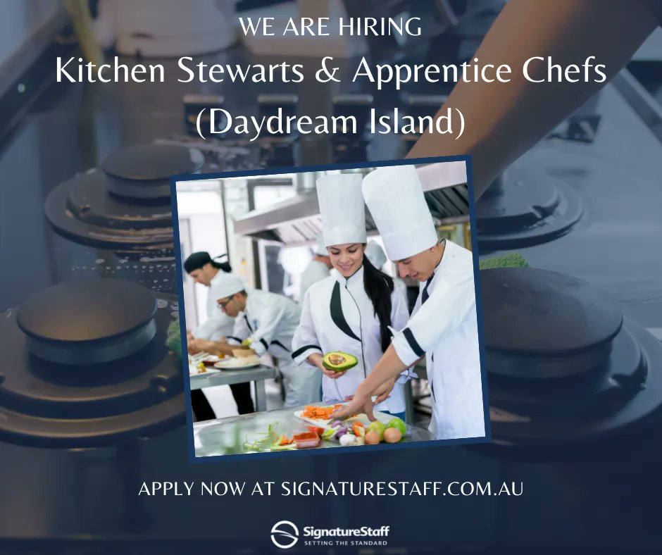 SignatureStaff's tweet image. ⭐️ Now Hiring - Kitchen Stewarts &amp;amp; Apprentice Chefs (Daydream Island) ⭐️ For more information or to #ApplyNow head to bit.ly/ApprenticeChef… #ApprenticeChefs #KitchenStewarts #DaydreamIsland #Recruitment #Jobs