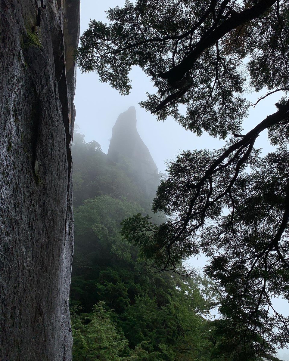 FPBassetti's tweet photo. Misty Mizugaki #Climbing #japan https://t.co/00ztF7B8nC