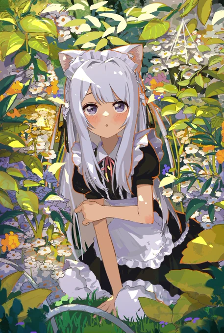 最近のヌコまとめ 