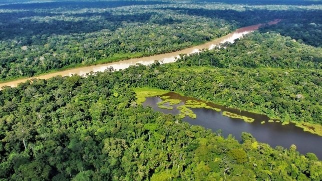 MinamPeru's tweet photo. 📰 #NotasMinam | Disminuye en 32 % la pérdida de bosques amazónicos en el Perú
Más información 👉🏻https://t.co/vREU2Hc16p
#TierraSoloHayUna 🌎 https://t.co/jOLyd8eTb7