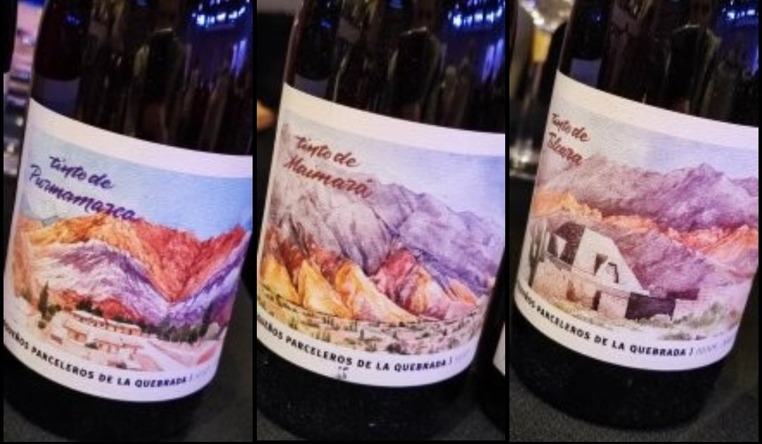 reinaentrecopas's tweet photo. Recuerdos #LaNuevaCaraDelNOA by @VinotecaMRWines  
Criollas x tres! Más alto origen, más intensa su fruta y más limpio el carácter de su lugar 🙌🍷💜 #ElBayeh bravo #Jujuy https://t.co/qCWZHEjGj4