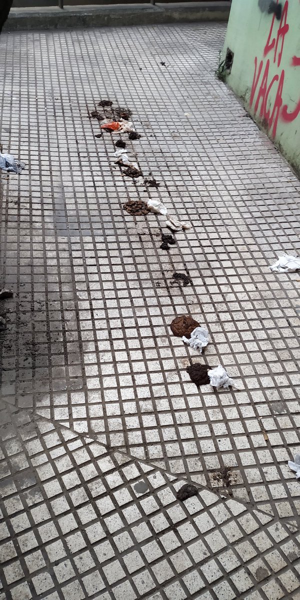 Indianajonee's tweet photo. @CanalQuilmes bajo nivel de amoedo/guido {cervecería de quilmes)cada vez peor , los vecinos sufrimos acoso x las personas q duermen ahi . Esa foto es de hoy. Escremento humano. https://t.co/03t8k0rDlD
