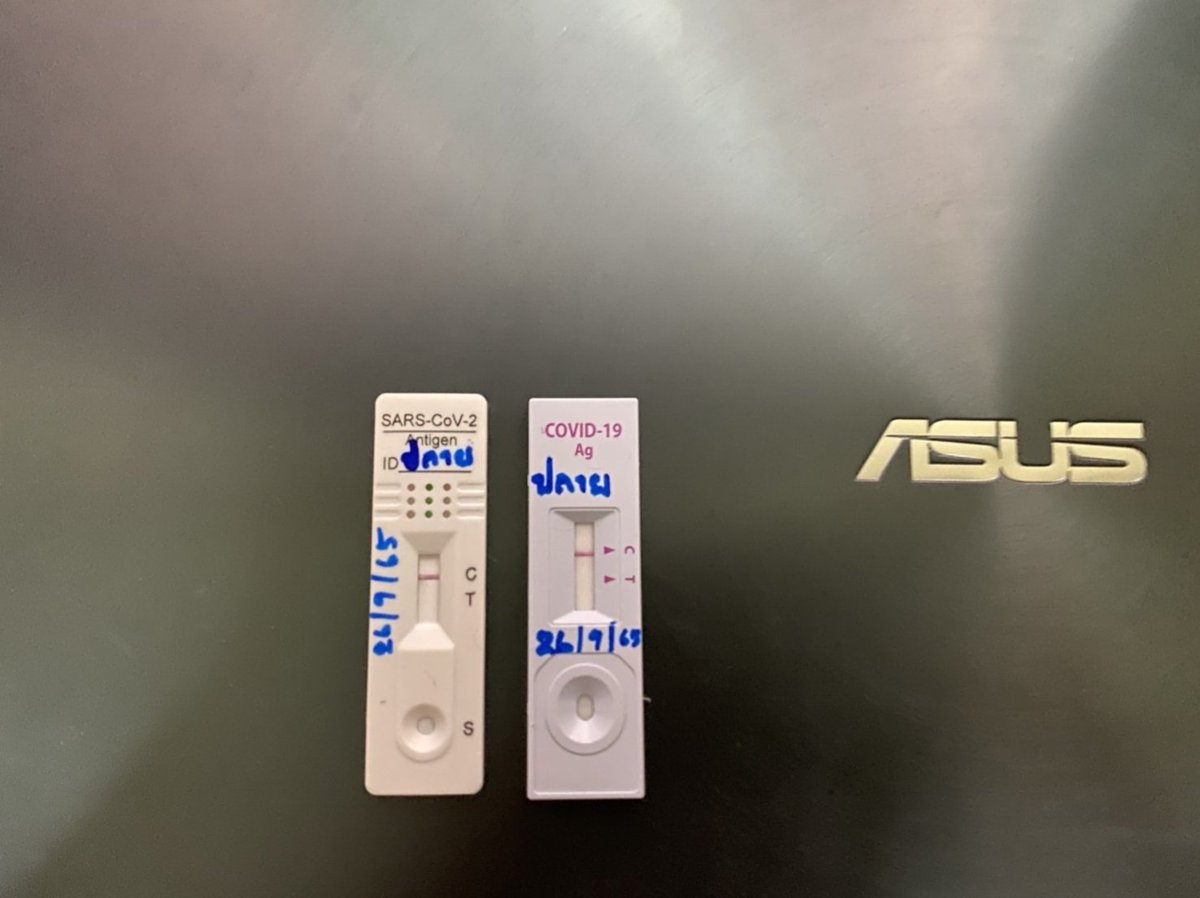 plaikrub tweet media