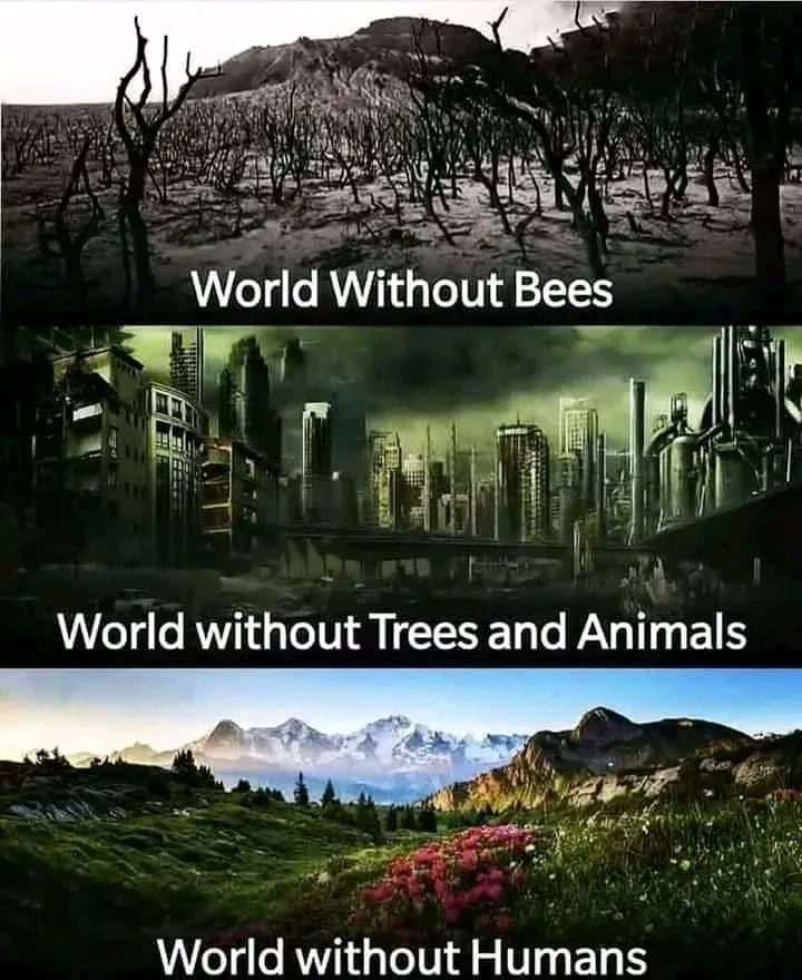 MukeshPathakji's tweet photo. #Bees are crucial to all beings survival. #SaveTheBees 
#FabaHoney https://t.co/kDFxbDfCPC