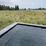 ツイートに含まれる画像