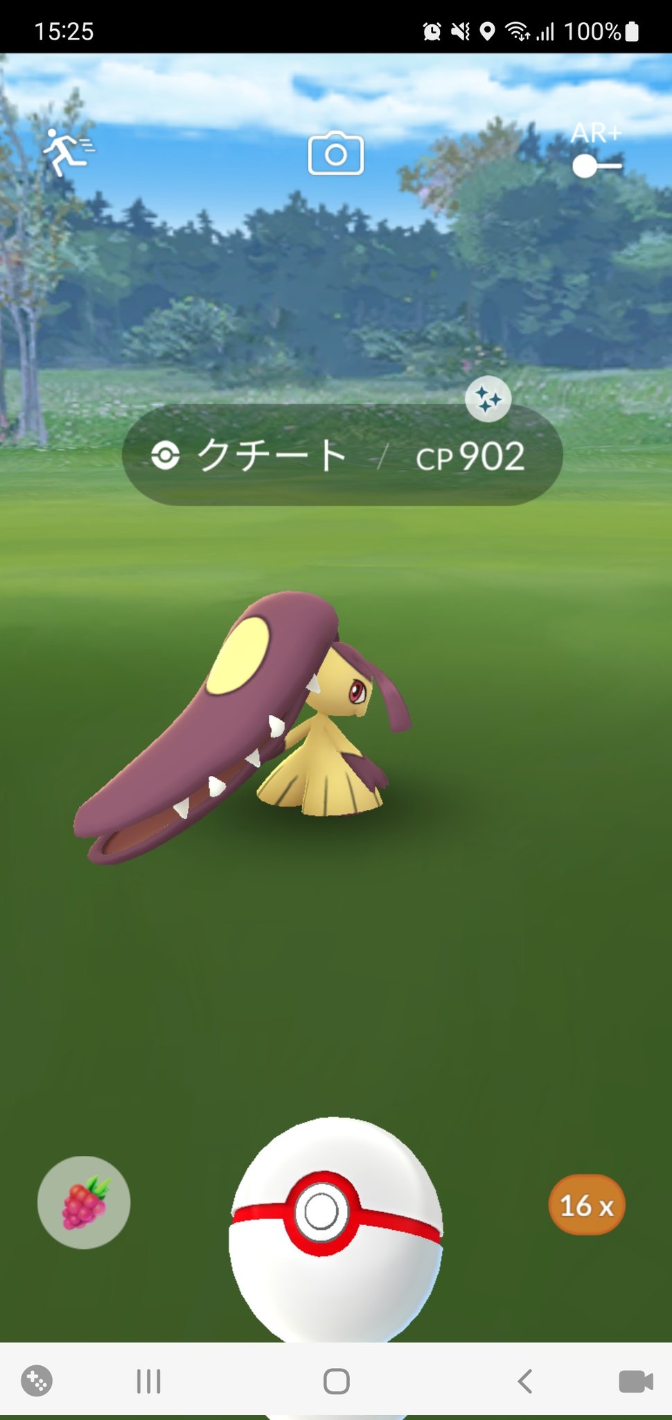 クチート Twitter Search Twitter