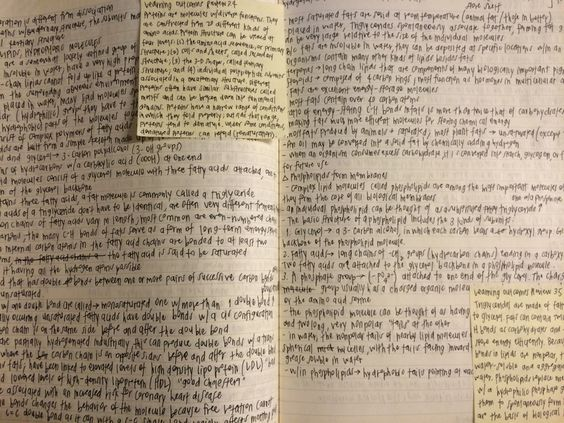 iamazalea__'s tweet image. . ˚ how to avoid procrastination: tips from a procrastinator ｡ﾟ･✿ ༉‧

-- a thread for #studytwt