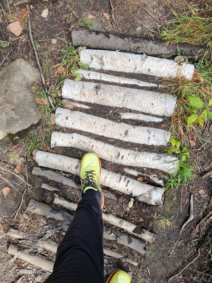 DigitalArtBros's tweet photo. Artists needs air too! And Inspo! How often do you take a walk? #NFT #DAB #DigitalArtBros https://t.co/ceY87ATeWW
