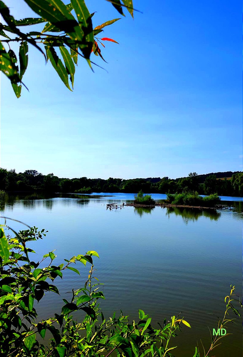 Martina Dvorská (@martinadvorsk2) on Twitter photo 