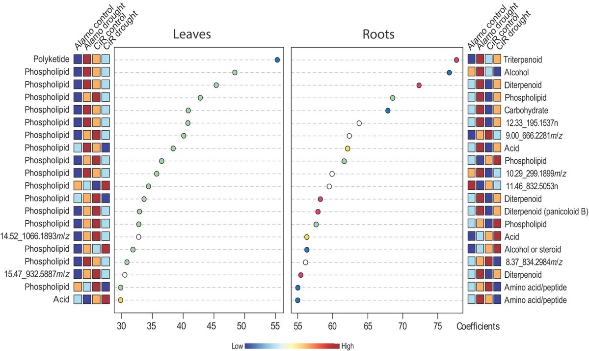New Phytologist tweet media