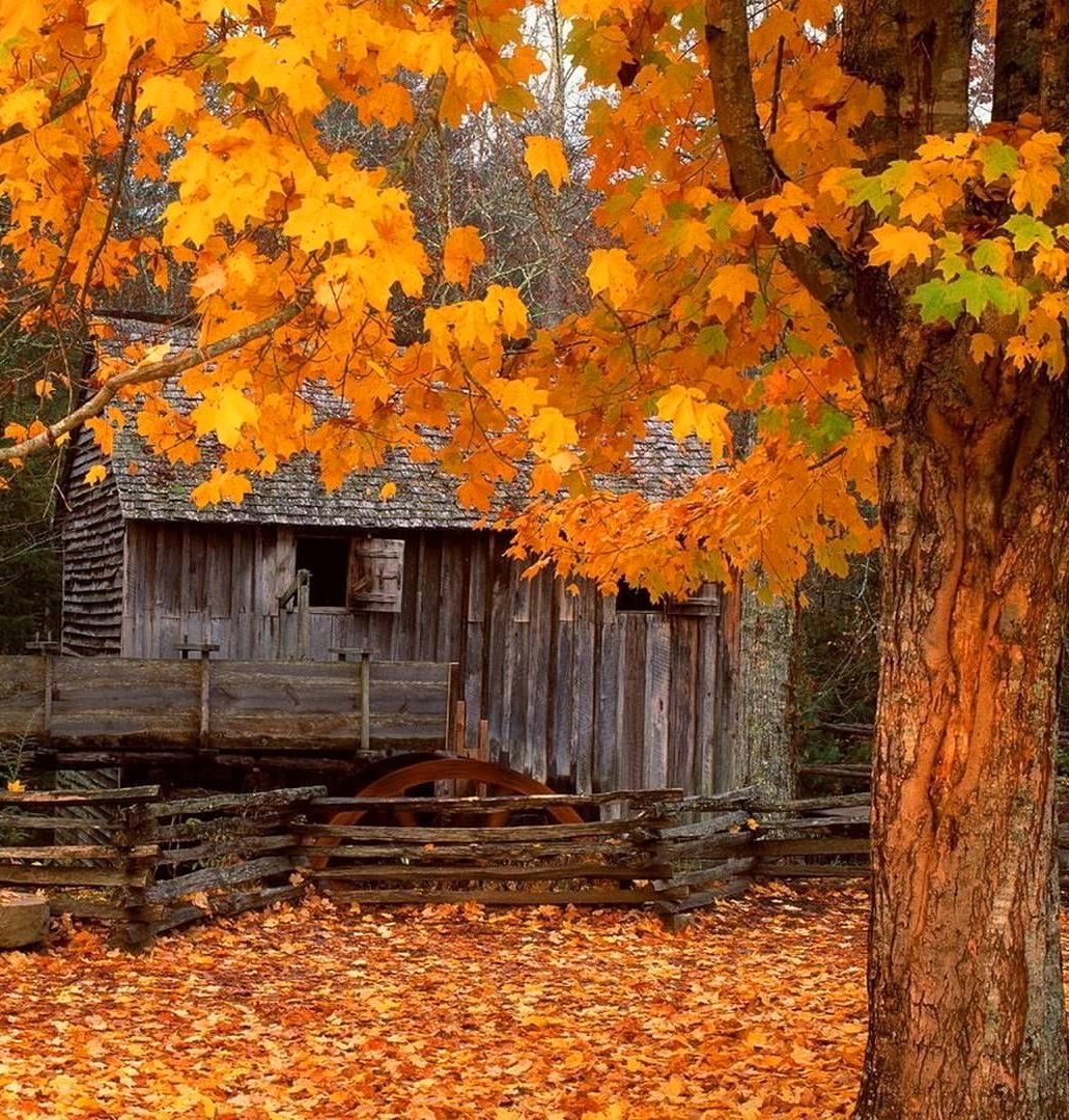 Tina Koskima 🕊️ (@lovesongs4peace) on Twitter photo 