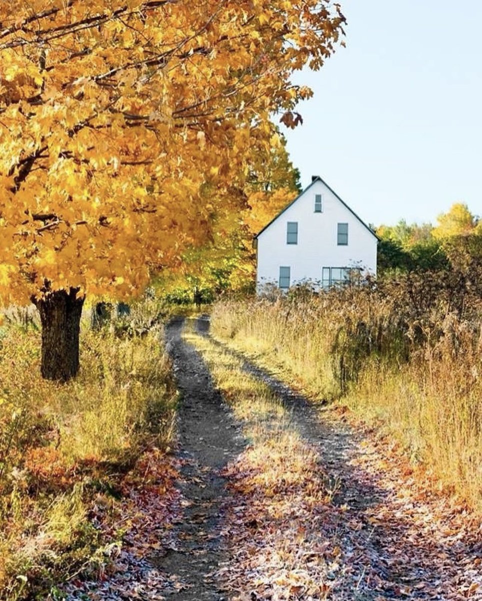 Good morning. Wishing you a bright and happy start to the new week! Take care💛