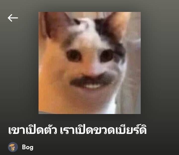 เมาทุกขวด เจ็บปวดทุกเพลง