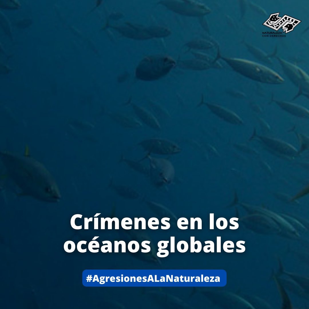 🔴La pesca ilegal es omnipresente en todo el mundo e impone altos costos al ambiente y la sociedad, relacionados con disminución de la población de peces 🐟 o la degradación de los ecosistemas 🌊

Artículo completo ⬇️
naturalezaconderechos.org/2022/08/02/cri…