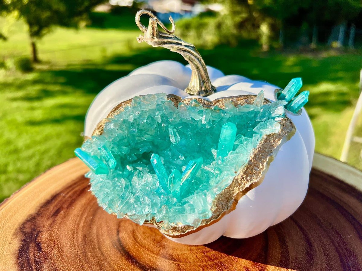 lilredwriter's tweet photo. ADORE these crystal pumpkins, i can't choose a favorite 💗 https://t.co/qEDb0xV8v4