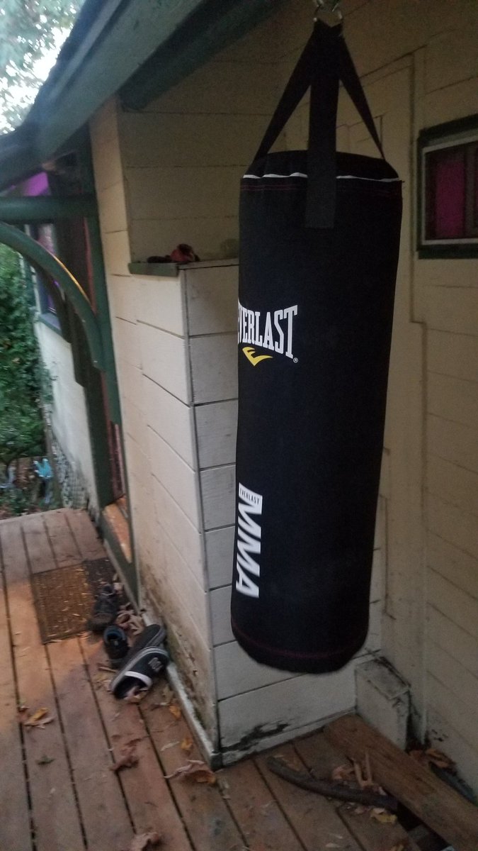 Mara_Marzipan's tweet photo. I am so ready to rumble 💪🥊😎 https://t.co/zJmdF4xPUB