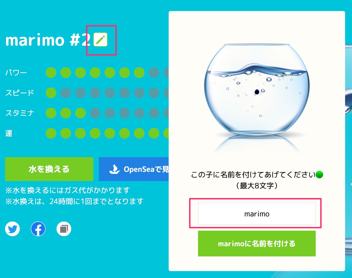 marimoに名前を付けられる機能をリリースしました！自分のmarimoに名前を付けて可愛がってあげてください。名前の横の鉛筆アイコンから変更ができます。#marimoNFT