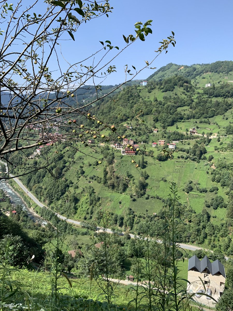 💚
'

  اللهم أجعلنا ممن يأتونَ 
إليكَ بالدعاءَ فتأتي إليهمْ 
  بالرحمةِ والاِستِجابةٌ

                   #صباح_الخير 🌻