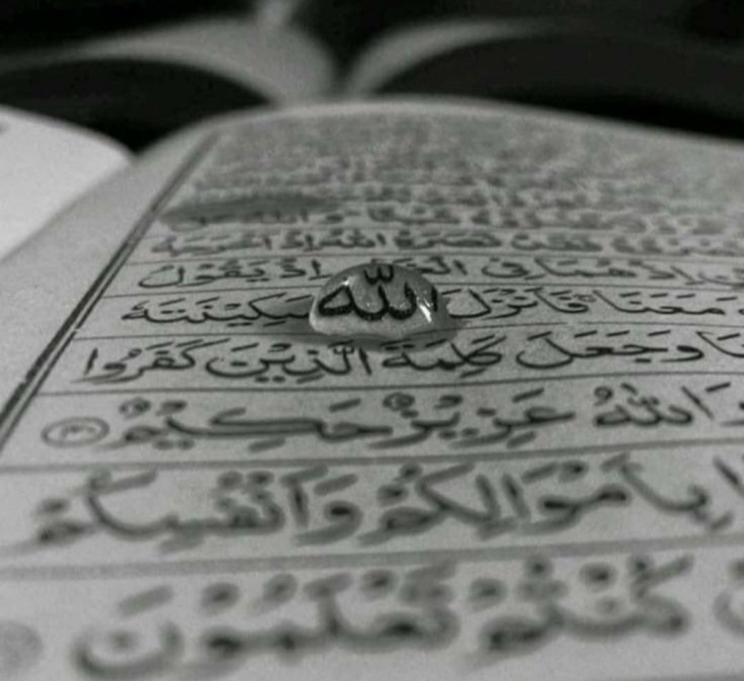 hemen her şeyin anlamını yitirdiği ve hatta bulanıklaştığı bir çağda, Rabbin kudretine sığınırız. Kılıcımız kırık, O'nunki keskindir. İdrak zayıf, O hâkimdir. Mazi karanlık, O ezelidir. Akıbet belirsiz, O ebedidir...'

#sansürsüz