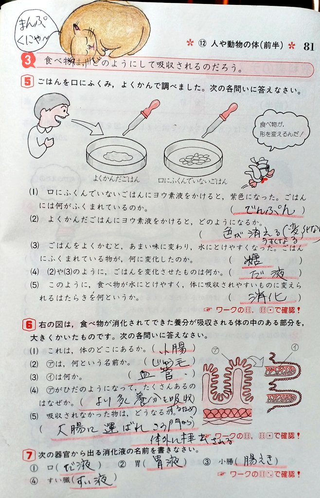 Gracias鍛錬 おはようございます 6年生 理科 食べ物の消化 の勉強に入りました 私達の体はいつでも 休みなしに仕事をしていますね ご飯を食べれば さっささっさと胃で消化し 腸で栄養を吸収し 大腸で水分を取り除き 概ねカスとなったもの を Gracias鍛錬 おはようございます 6年生 理科 食べ物の消化 の勉強に入りました 私達の体はいつでも 休みなしに仕事をしていますね ご飯を食べれば さっささっさと胃で消化し 腸で栄養を吸収し 大腸で水分を取り除き 概ねカスとなったもの を