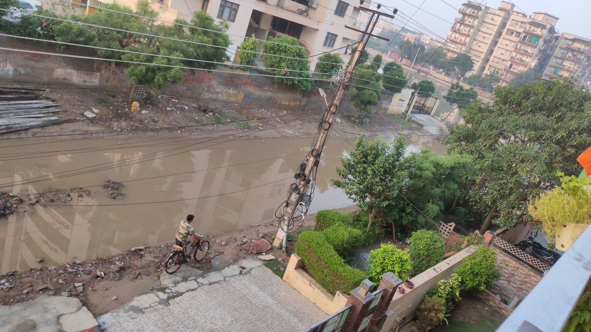 RoyalBajaj's tweet photo. @MunCorpGurugram @CommissionerMCG @dcmohry @cmohry 
Standing water nearly two feet in front of our house since Thursday nobody is listening,have put in the compliant on swach Bharat app as well kindly drain out the water h no 118 sector 9 gurgaon https://t.co/MCDEauxyWV