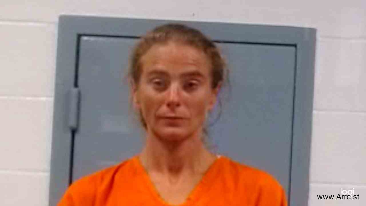 WV Mugshots on Twitter "Heidi Marie Thomas SCRJ https//t.co