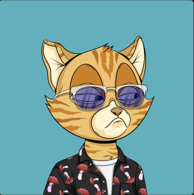 Boog404's tweet photo. @Ravers @justape_ @CyberFrogsNFT @CyberSamuraiNFT @cryptoduckpunkz @NFT_Satori @InfectedMob @GothicDegens @thedogecapital @balloonsville_2 @dumbass_donkeys @EternalDragons_ @GhostKidDAO @BVDCAT_  Won’t be under 10 for long. But great community, solid dev team, good utility.
#WEBVD https://t.co/icy7yB5aqK