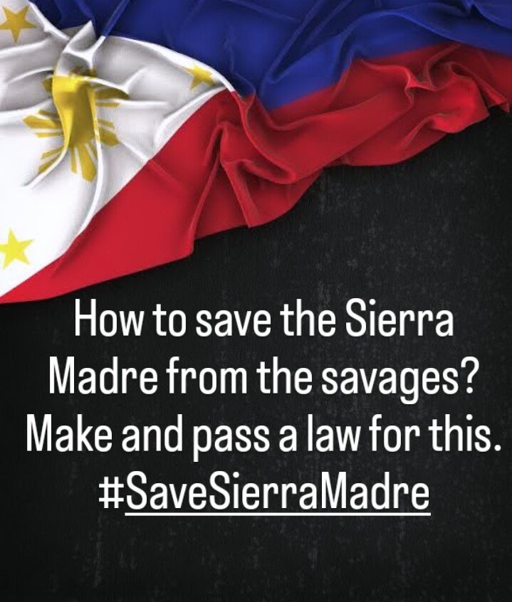 Mother_Henn's tweet photo. Sa piling mo Sierra Madre
Kandungan mo'y laging hinahanap
#SaveSierraMadre #SierraMadreAct #PilipinasKongMahal https://t.co/SISfOcMZoR