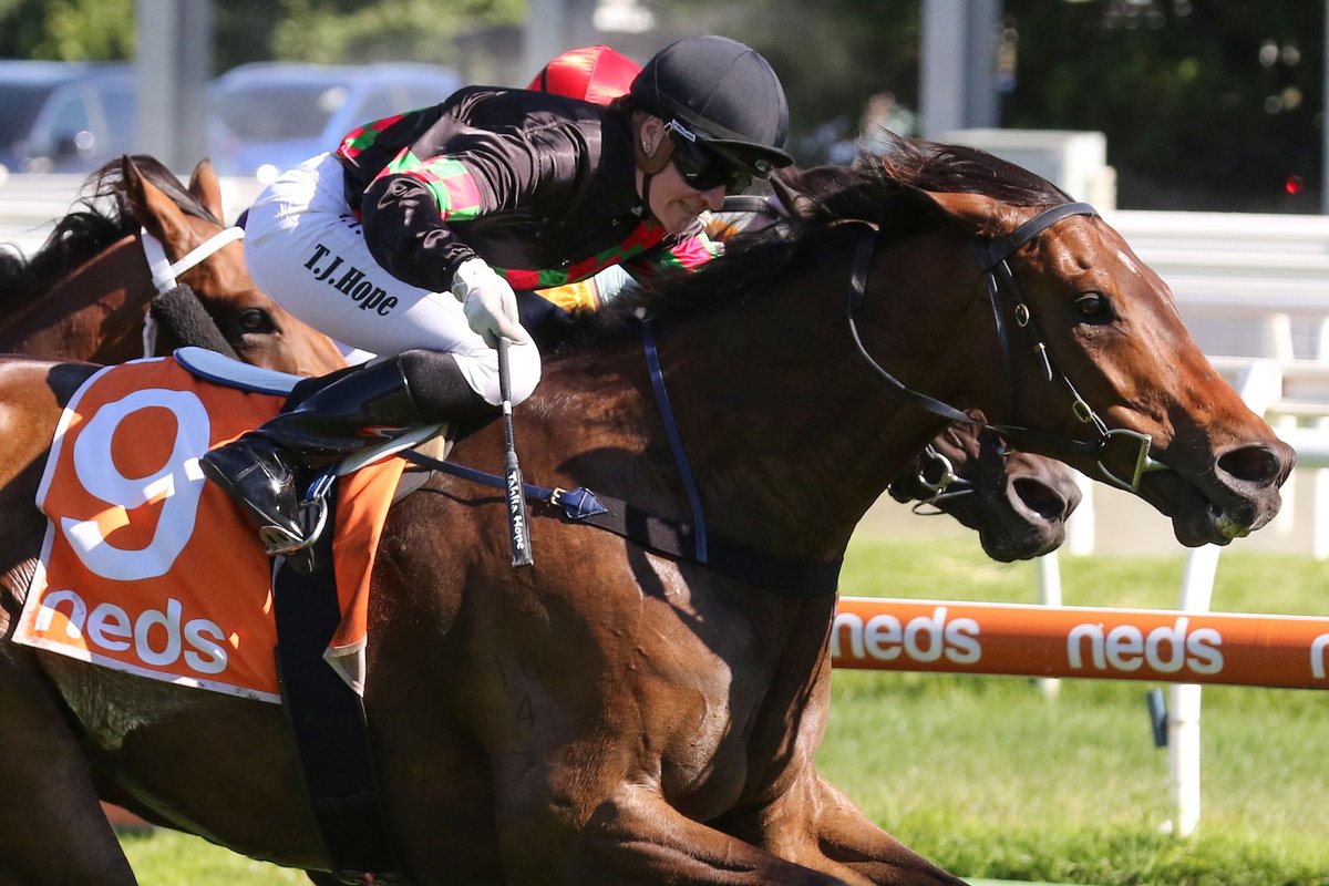 nzracingnews's tweet photo. Richardson Racing Stables hopeful of a successful Group One homecoming for #Defibrillate at Hastings on Saturday. @RRacingStables
https://t.co/lziJPpZBVZ https://t.co/Aw8ZgPoarp