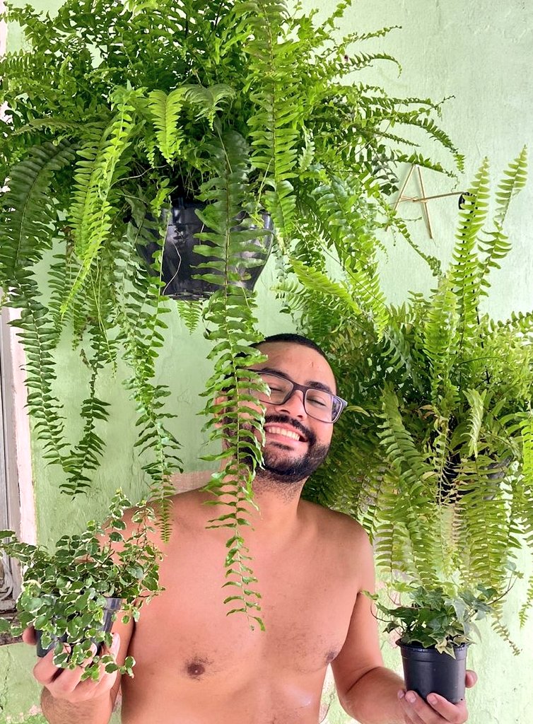 Mudinhas... 🪴🪴🪴
A chão de taco em seu habitat.