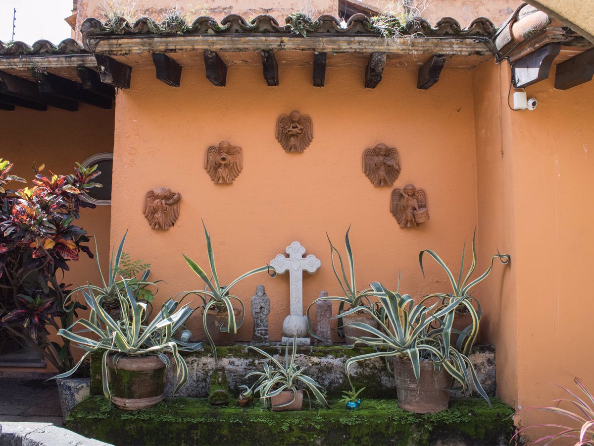 jorgearagonI's tweet photo. Notaria Cinco | Inmueble del siglo XlX.
Fotografías para el archivo de actualización, de inmuebles históricos del centro de cuernavaca. https://t.co/u2MIo6lWA6