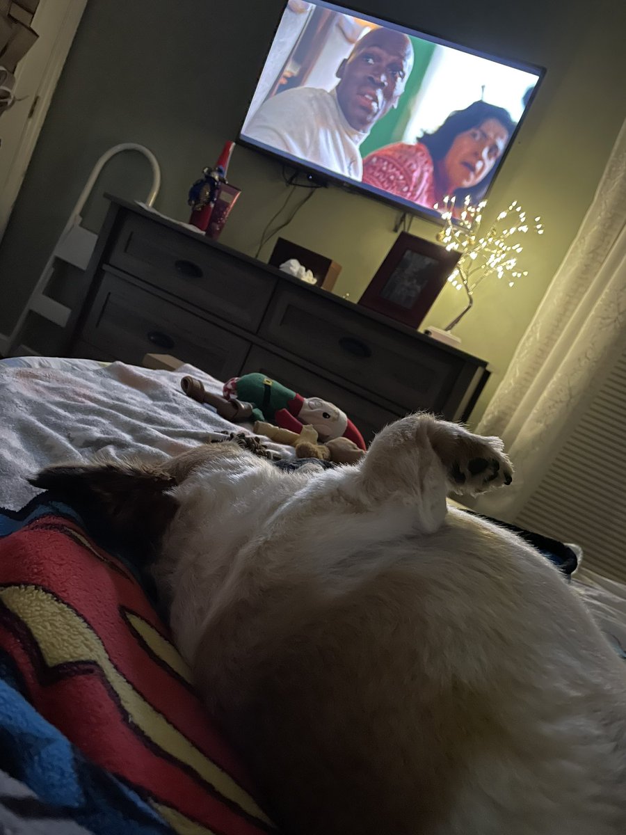 braeakast's tweet photo. Hey @jasonsudeikis, our dog Scooter loves watching @TedLasso upside down. #EatNerf #TedLassoRocks #CannotWait4Season3! https://t.co/16dN3I6URm