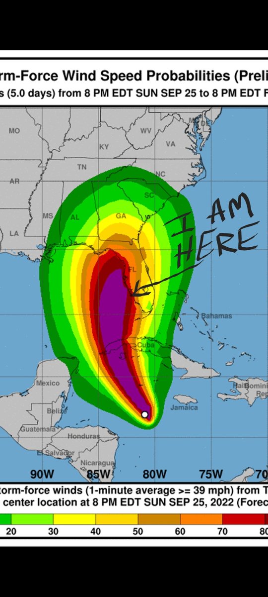 Where's my Florida Gulf Coast people at? Stay safe everyone 😭