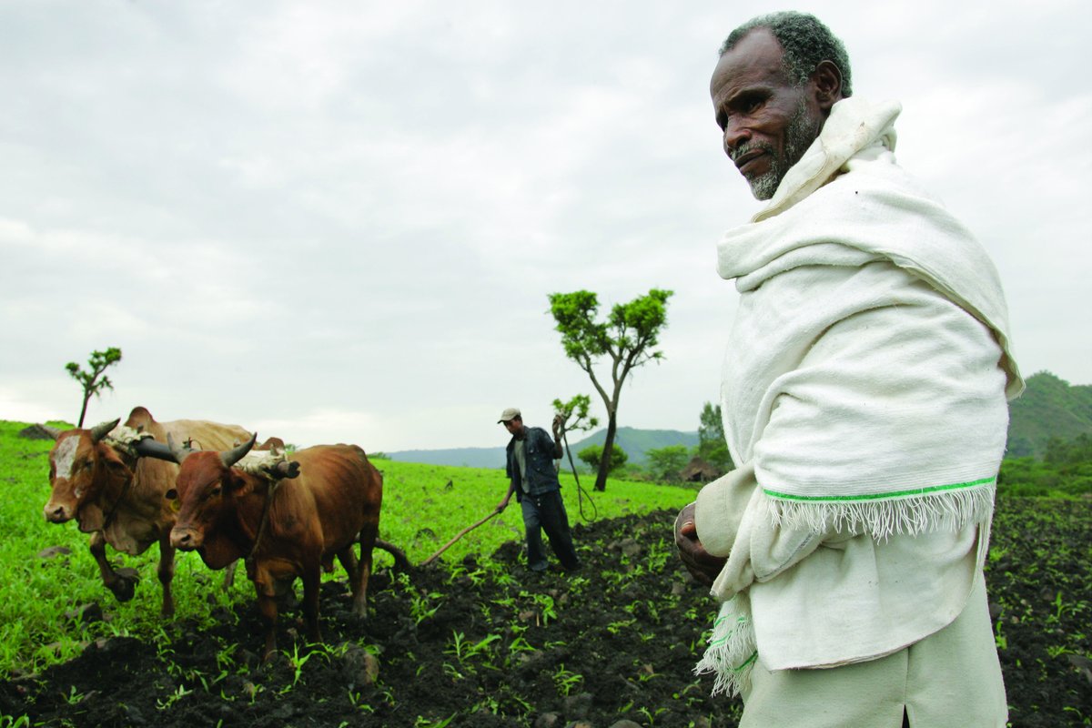 TropAgAus's tweet photo. Dr Jimmy Smith from @ILRI and plenary speaker @TropAg2022 believes “where one stands is a function of where one sits” when it comes to the environmental footprint of livestock production and consumption of livestock-derived foods. View media release here https://t.co/TeTtH2iPX0 https://t.co/tc6aPWwEKP