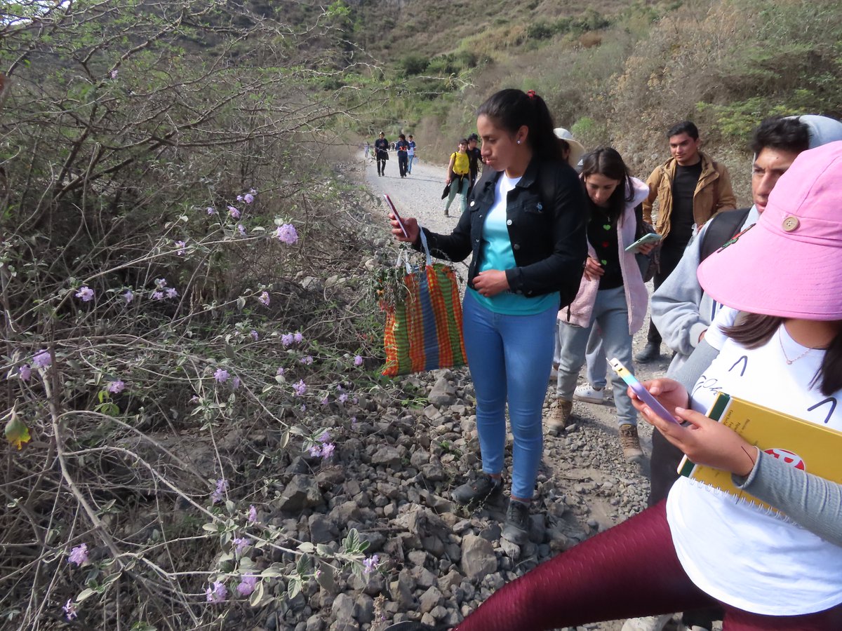 manuelroncal's tweet photo. #CajamarcaBiodiversa #EAPIAC Fotografía de naturaleza en los BES del Marañón, Celendín con los chicos de Gestión & ANPs EAPIAC-UNC. El uso de celulares para el registro de flora y fauna ayuda mucho a motivar el estudio y fomentar el cariño de nuestra biodiversidad 📸🌵 https://t.co/ULCmNpiHSD
