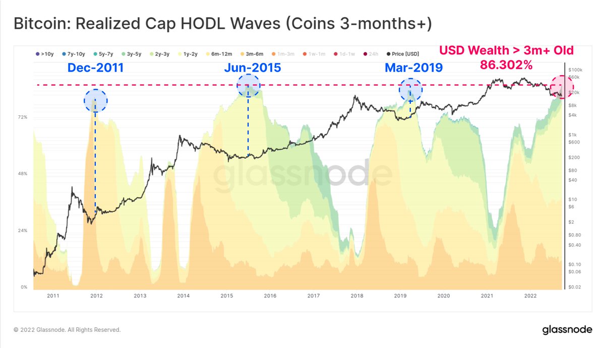 This is further reflected in the #Bitcoin Realized Cap HODL Waves. Coins  aged 3m+ now account for an ATH of 86.3% of all USD wealth held by the $BTC  supply. #Bitcoin HODLers