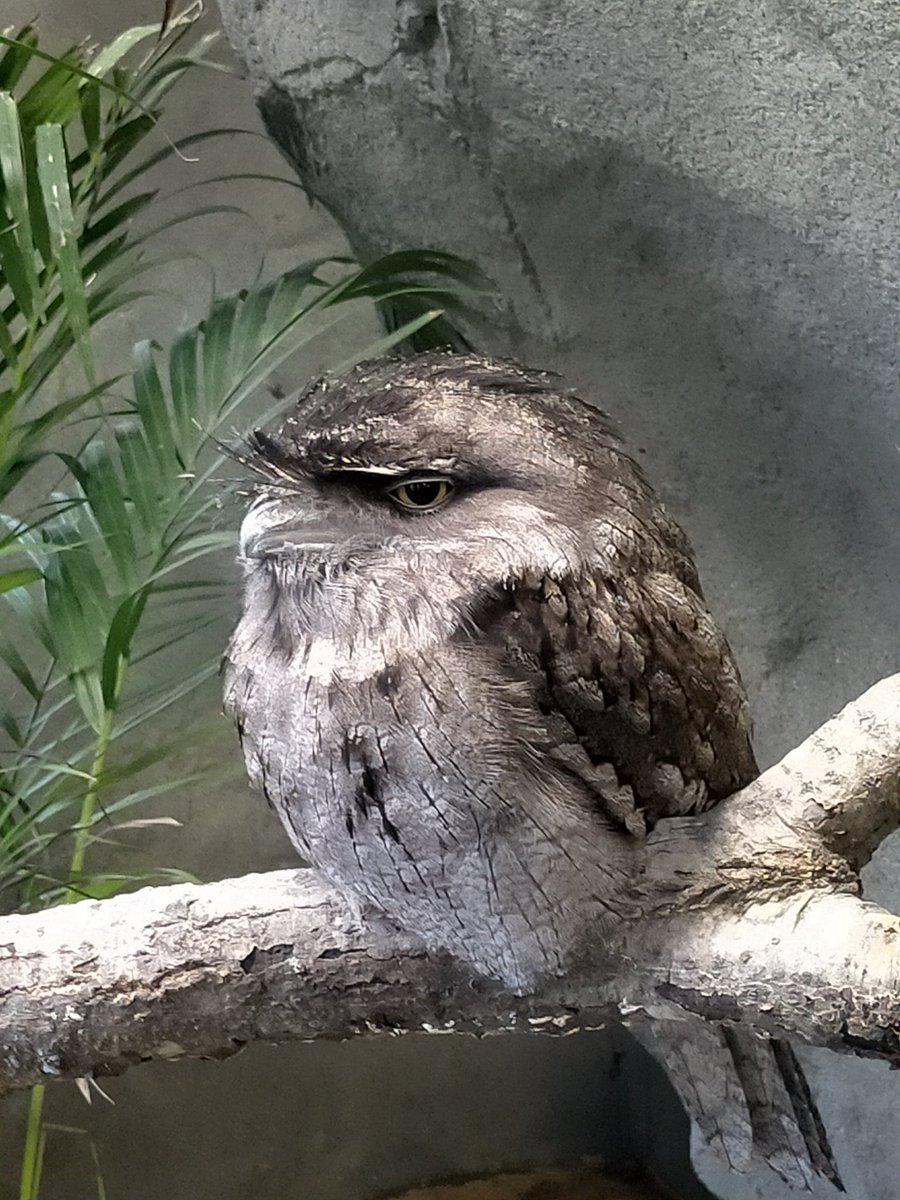 #那須どうぶつ王国 