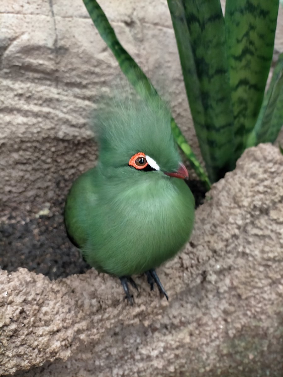 #那須どうぶつ王国 